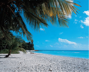 A beach in Barbados