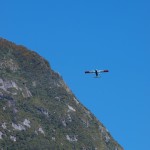 Plane flying over Milford Sound