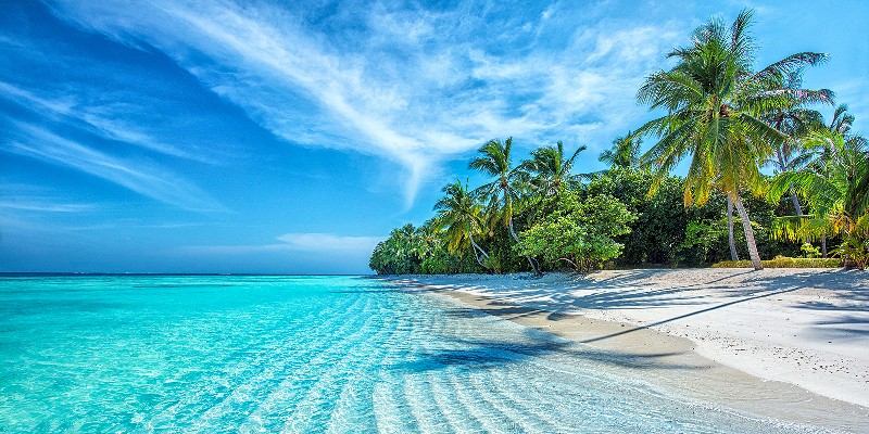 Daytime shot of a dreamy Maldivian beach