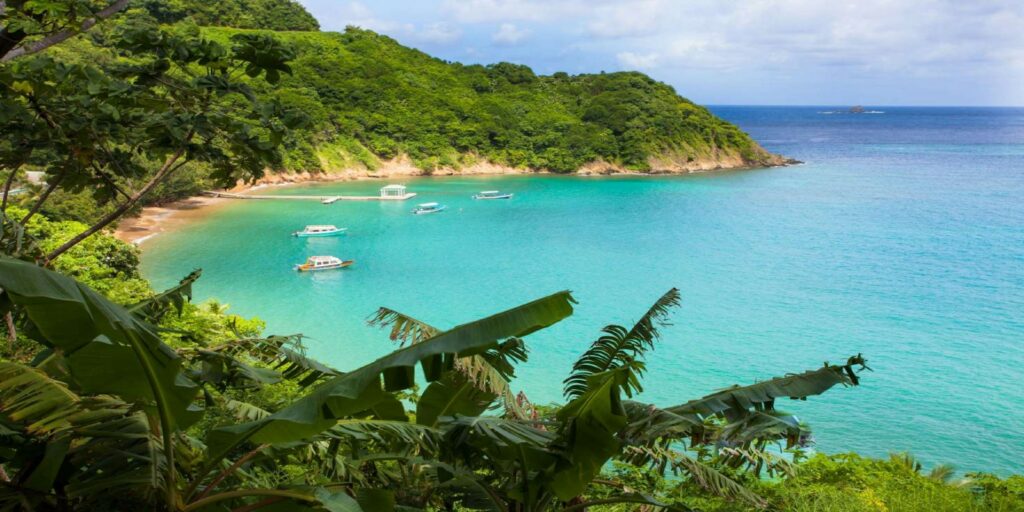 tobago bay overlooking azure blue ocean