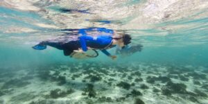 pearl diving in bahrain with a snorkel